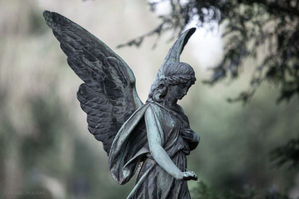 trauerredner-oder-pastor Trauerredner oder Pastor?