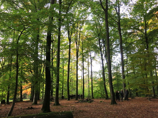 friedwald-herbst friedwald herbst
