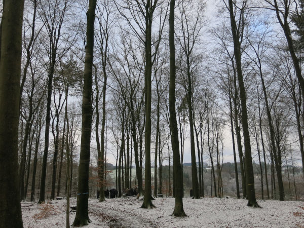 binary comment friedwald winter