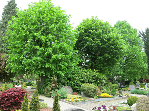 binary comment hueckeswagen friedhof graeber