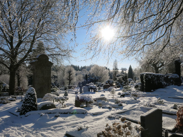 binary comment hueckeswagen friedhof winter